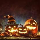 E I Se Budou Seznamovat Naz V Televizi Naked Attraction Je Rande V Opa N M Sledu Ena Cz