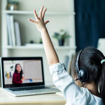 online vyuka, skola, distancni, zena