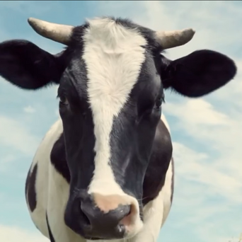 Ženy nejsou krávy. Mlékárna Seoul Milk musela stáhnout kontroverzní reklamu