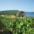 Château La Coste