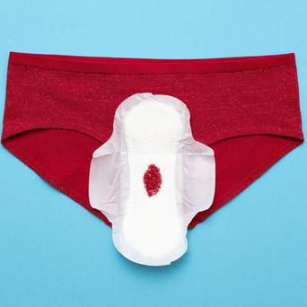 menstruace, zena