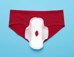 menstruace, zena