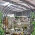 ABF - For decor pergola4