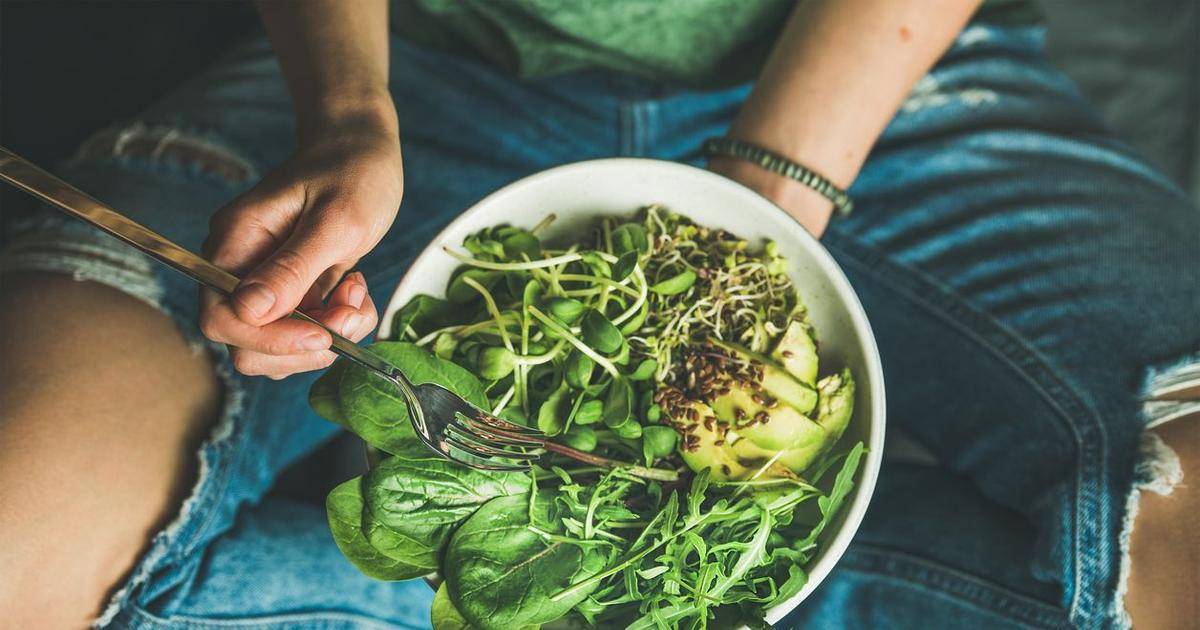 Vegan, veganství, vegetarián, vegetariánství