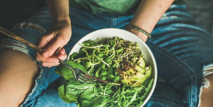 Vegan, veganství, vegetarián, vegetariánství