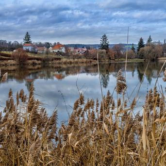 morava, žena