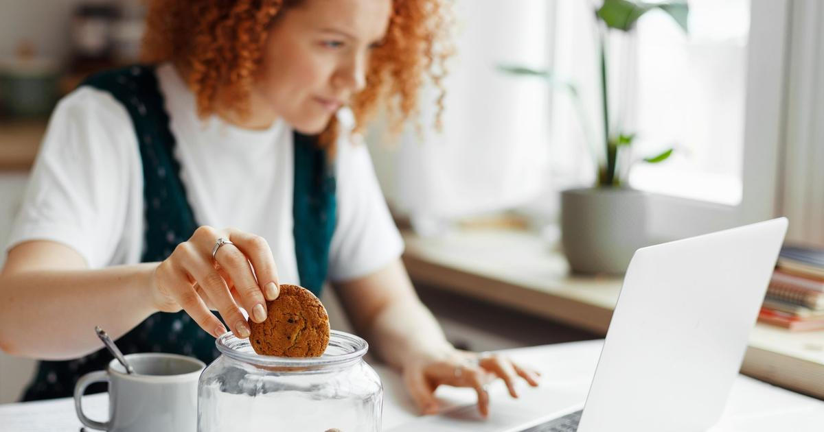 Za psa, na daních i za popelnici. Nedlužíte státu? Kde si zkontrolovat nedoplatky 