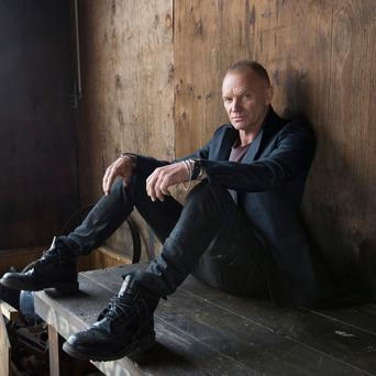 Sting