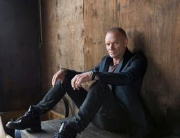 Sting