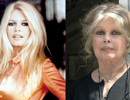 bardot, žena