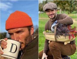 beckham, david, zena