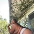 Lizzo