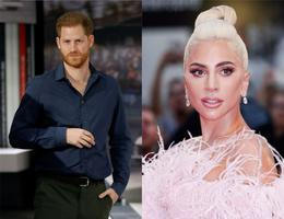 gaga, harry
