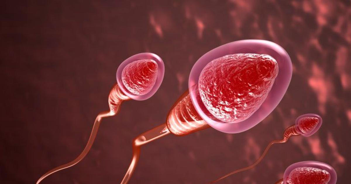 Skandály s megadárci spermatu: Alarmující čísla probudila Evropu. Volá se po omezení 