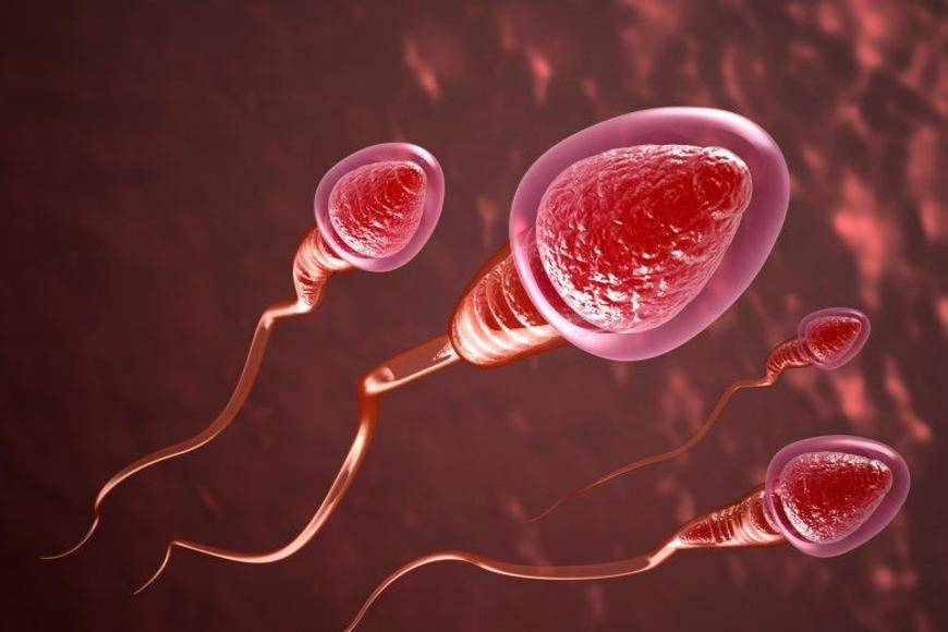 Léky na hubnutí znovu překvapily vědce. U mužů odhalili další zásadní efekt