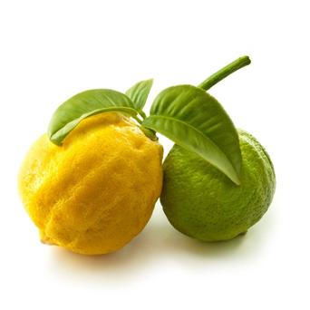 Citrus - bergamot