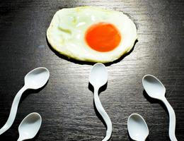 Spermie jako lžičky s vejcem
