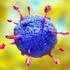 Virus MERS