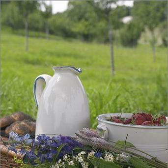 Piknik 2
