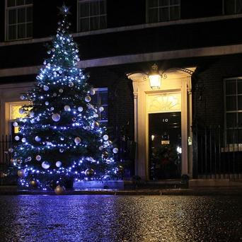 Vánoční strom - London - Downing Street 10