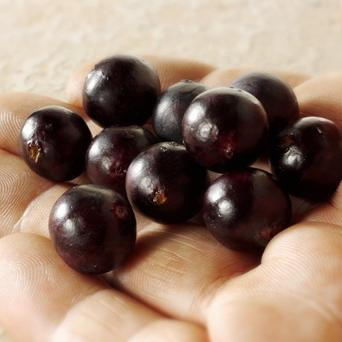 Bomba acai