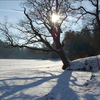 Průhonický park