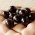 Bomba acai