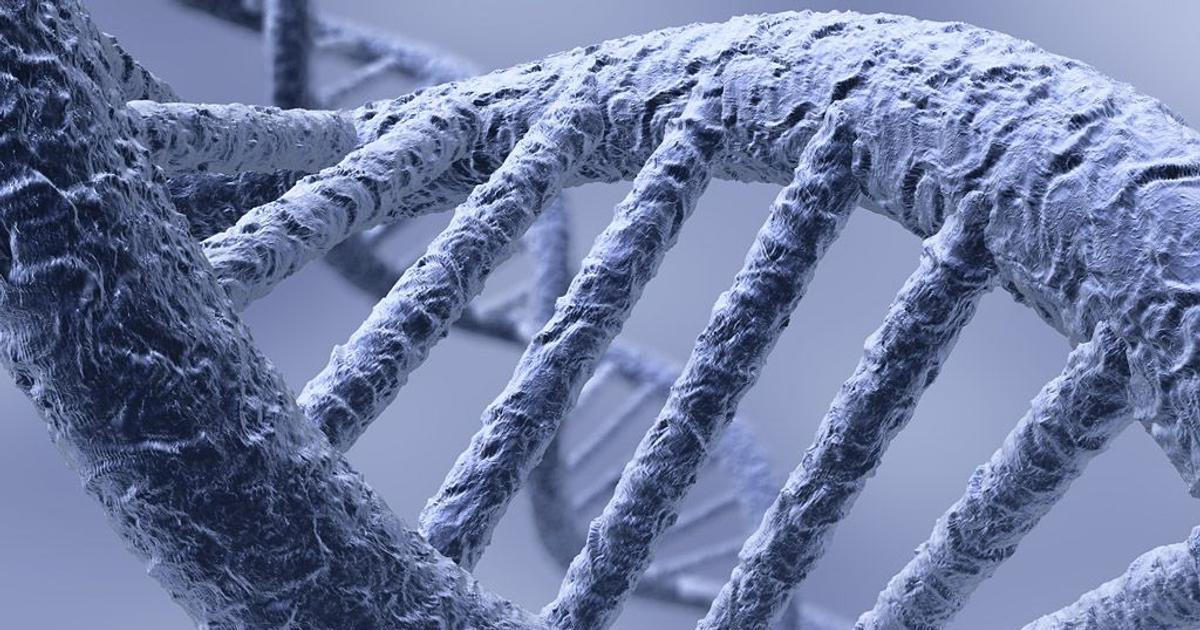 Nakonec si to píchnou všichni. Silicon Valley frčí na čínských aminokyselinách