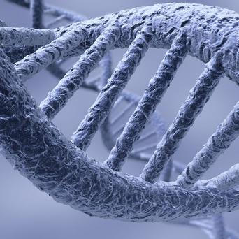 DNA - šroubovice - Thinkstock 2