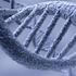 DNA - šroubovice - Thinkstock 2