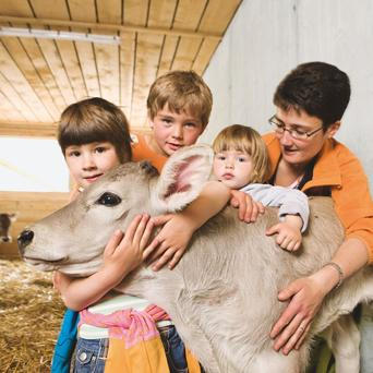 Ubytování na farmách ve Švýcarsku získává stále větší popularitu mezi rodinami