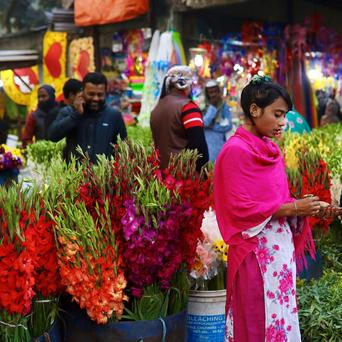 bangladesh, zena