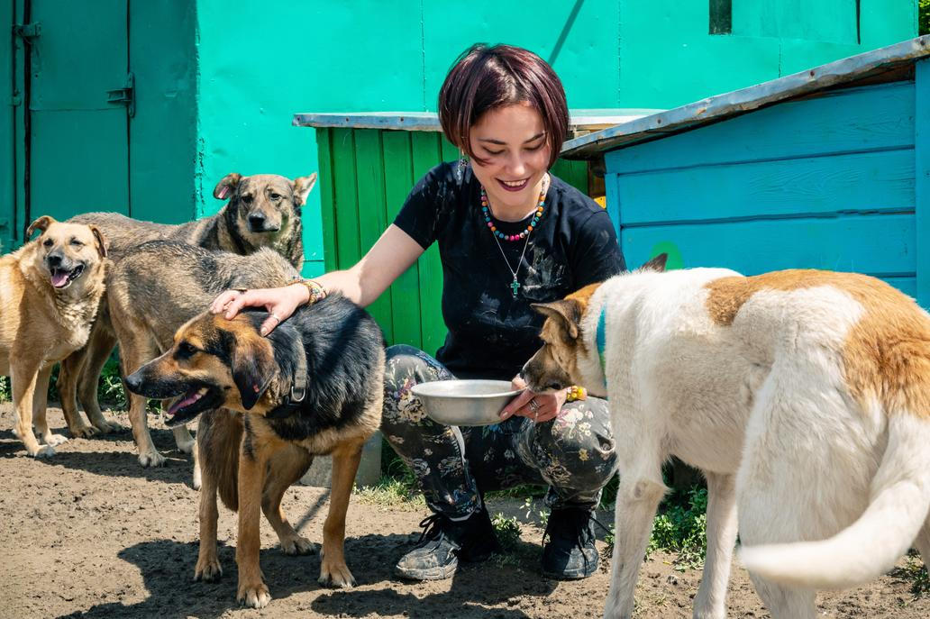 Žena pečuje o psy v útulku