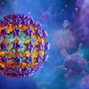 HPV virus