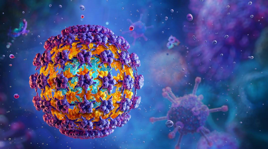 HPV virus