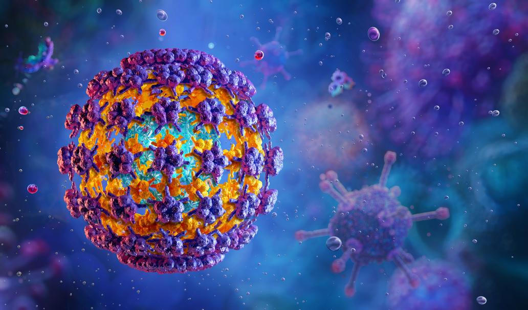 HPV virus