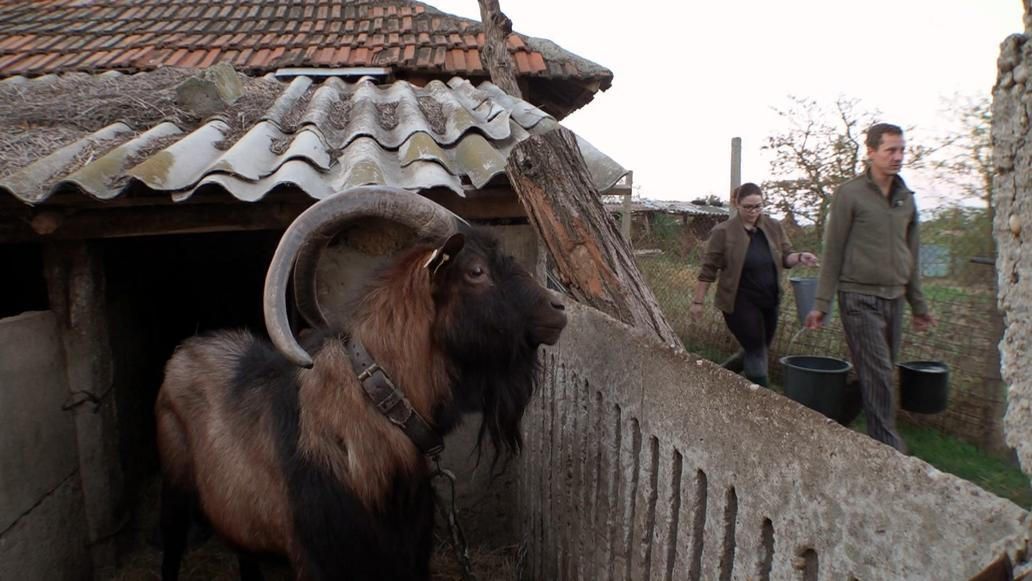 Výměna manželek: Anastázie a Marián