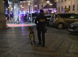 Pojicejní zásah v Obecním domě