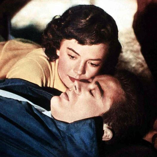 James Dean jako Jim Stark v ikonické scéně filmu Rebel bez příčiny (1955), režie Nicholas Ray. Ilustrační snímek