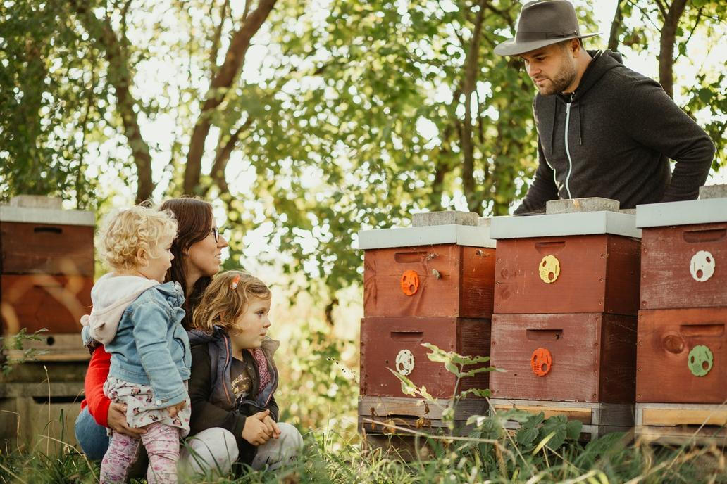 Rodina u včel na jaře
