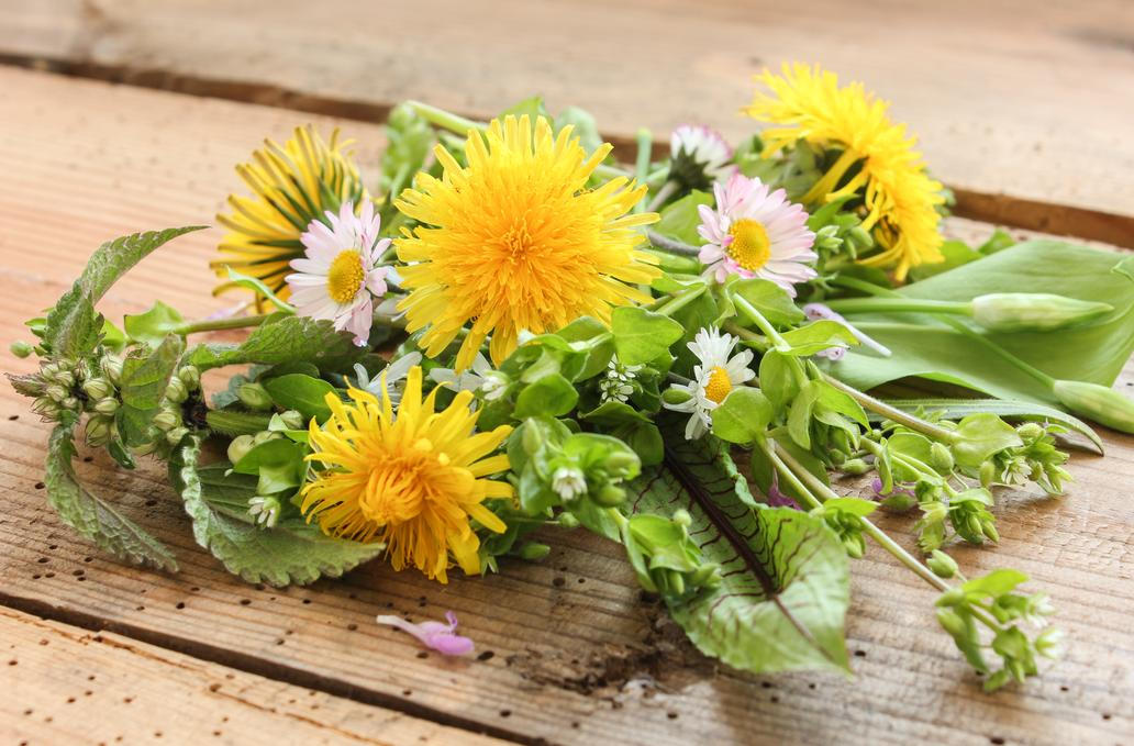 Pampelišky a sedmikrásky