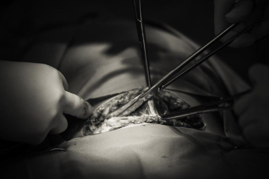 igorstancik.ephoto.sk