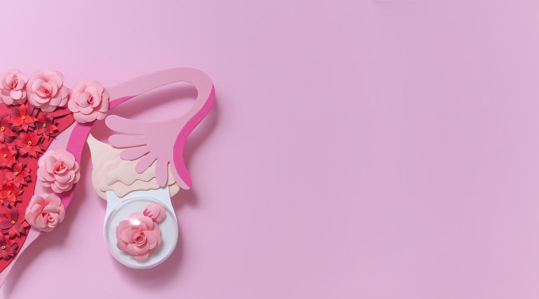 Gynekologie