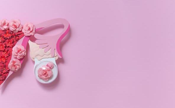Gynekologie