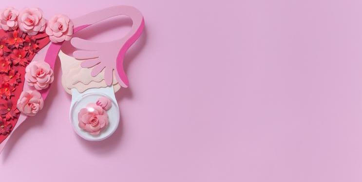 Gynekologie