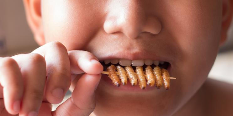 Sušený hmyz jako snack pro dítě