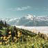 Switzerland Tourism