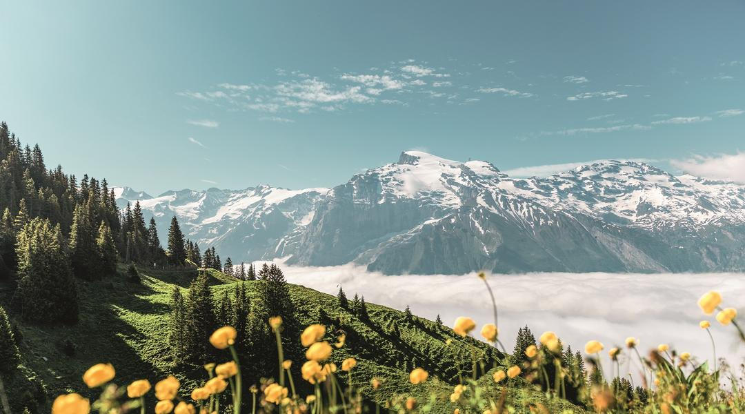 Switzerland Tourism