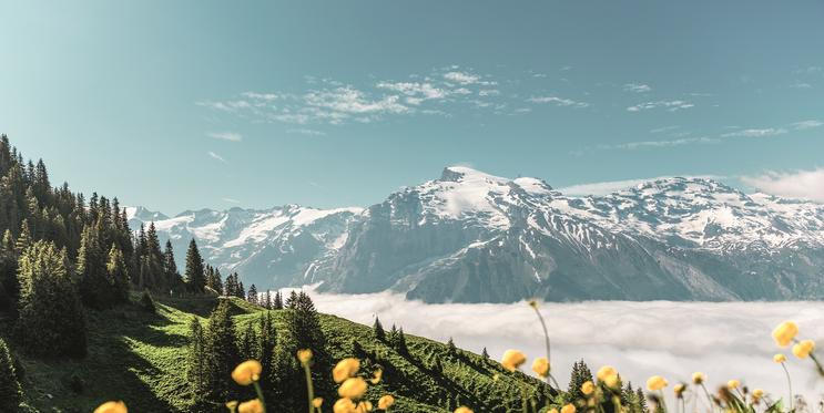 Switzerland Tourism