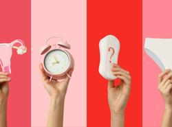 Menstruace